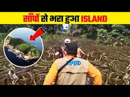 मौत का island कही जाने वाली जगह |  Snake Island in the World