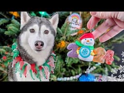 Surprising My Dogs With a Christmas Tree 🎄 In 2024!