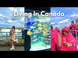 Living In Canada #4 2024 Ins And Outs | Niagara Falls | I broke my camera lens | Ripley’s Aquarium