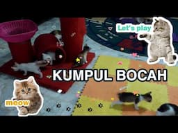 YUK PARA BOCAH BERKUMPUL | RAMAI RUMAH MAMI