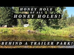 THE HONEY HOLE of all honey holes - Right behind a trailer park!