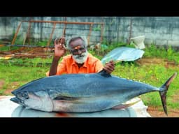 50kg TUNA FISH ! The King of Fish Gravy Recipe by Daddy Arumugam | Village food factory