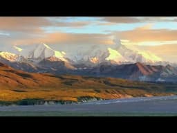 Denali: Art and Inspiration