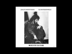 David Wertman & Lynne Meryl - Golden Light