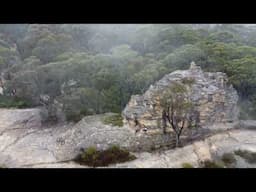 Dobbs Drift Lookout at the Gardens of Stone State conservation area drone flight