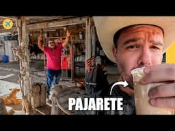 Jalisco's Drink of Death, Cow Head Tacos and other Mexican Cowboy Stuff