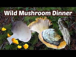 Forage and cook: a great dinner from 5 wild mushrooms!