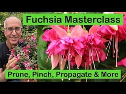 FUCHSIA MASTERCLASS – HOW TO GROW, PRUNE & PROPAGATE PLUS FUCHSIA VARIETY GUIDE