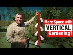 Vertical Garden DIY Results!🌿 Maximize Your Garden Space With Vertical Gardening