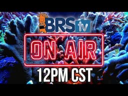 Live Reef Tank Q&A with BRStv – Ask Brian & Jason Anything!