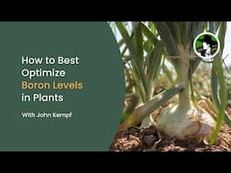 Maximize Fruit Quality with Boron