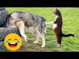 New Funniest Animals 2024 😂 Best Funny Cats and Dogs 2024 😻🐶 Part 31