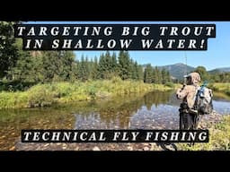 Sight Fishing BIG trout in shallow water - Technical fly fishing in tough conditions!