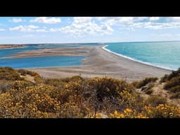 Celebrity Eclipse Antarctica Cruise day 12: Valdés Peninsula, Argentina