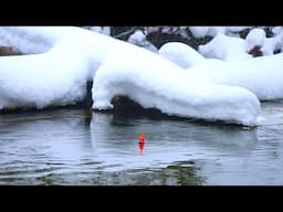 TINY CREEK WINTER STEELHEAD BOBBER DOWNS! - Float Fishing 2025