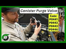 Canister Purge Valve causing weird symptoms: Code P0441, P0442, P0443, P0446