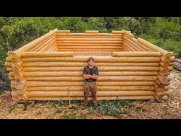 Walls Are Almost Done! One Man Building LOG CABIN in Off Grid Bush | EP 15