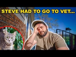 i had to take Steve to the Vet...(RIP)