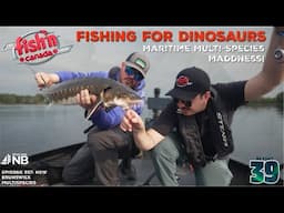 Fishing for DINOSAURS in New Brunswick! | The Fish'n Canada Show