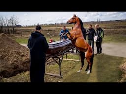 The Horse Began to Step on the Coffin! When the Lid Broke, Everyone Heard Something Crying