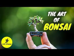 Bonsai trees for beginners | Bonsai tree making | How to make bonsai #bonsaiforbeginners #bonsai