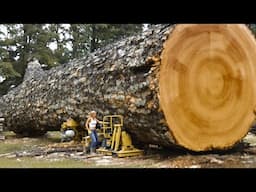 30 Fastest Automatic Firewood Processing Machine | Homemade Modern Wood Cutting Chainsaw Machines