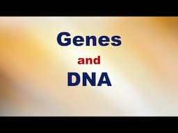 Genes and DNA Short Explanation