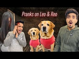 Crazy Pranks On Leo & Reo For 24 Hours | Daar Gaye Dono | Anant Rastogi