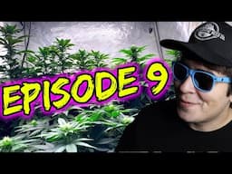 RAISING RH IN FLOWER FOR JOHNNY DANG & BLUEBERRY ORGANIC INDOOR GROW | GROW & JOE: EPISODE 9