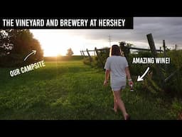 Harvest Host Review // RV Camping at The Vineyard and Brewery at Hershey