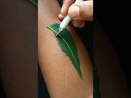 Leaves 🍃 with A letter tattoo 😱❤️🤩 #viral #tattoo