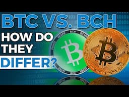 BTC vs. BCH | How do they differ and which is better?