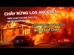 Kinh hoàng cháy rừng lịch sử ở Nam California | Los Angeles wild fires