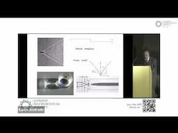 Singularities in Partial Differential Equations, Marco Fontelos | LMS AGM 2024