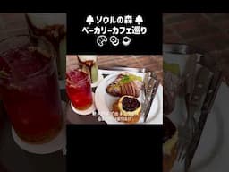 ソウルの森🌳ベーカリーカフェ巡り🥐🥯☕️