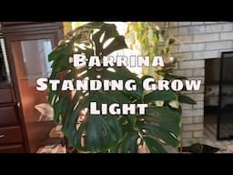 Barrina T10 Pro Grow Light with Timer