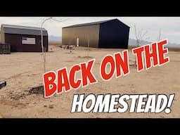 BACK ON OUR ARIZONA HOMESTEAD!