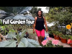 Full Garden Tour for January 2025//Growing All We Eat Fresh//Organic Food Forest