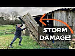 Overwhelmed by what to do now | Storm Damage