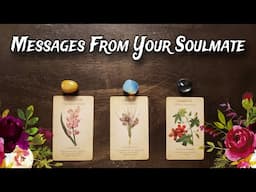 💕❤ Messages From Your Soulmate 💕❤ Pick A Card Love Reading