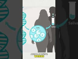 Gene Testing Explained