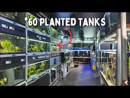 Over 60 Planted Tanks in this London Fish Store | @pondlifeaquatics FULL TOUR