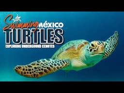 Swimming with Sea Turtles, Exploring an Underground Cenote & Halloween in Mexico!