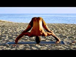 Hatha Yoga Practice | Full Body All Levels Yoga Class