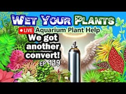 Aquarium Plant Chat and Q&A and Solving Planted Tank Problems n Stuff (WYP 119)