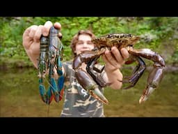 Giant Mudcrab vs. Blue Crayfish (Catch & Cook)