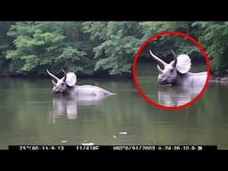 1 Hour of Extinct Animals Caught ALIVE on Camera!