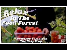 Relaxing Week In The Food Forest Garden + Preserve Tomatoes The Easy (lazy?) Way 🥑🍅🥕🥬