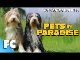 Pets In Paradise (23/26) | Season 2 Episode 10: Doggy Weight Loss | Full Animal Pet Dog TV Show | FC