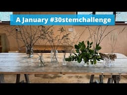 A January #30stemchallenge - get creative with your twiggery pokery